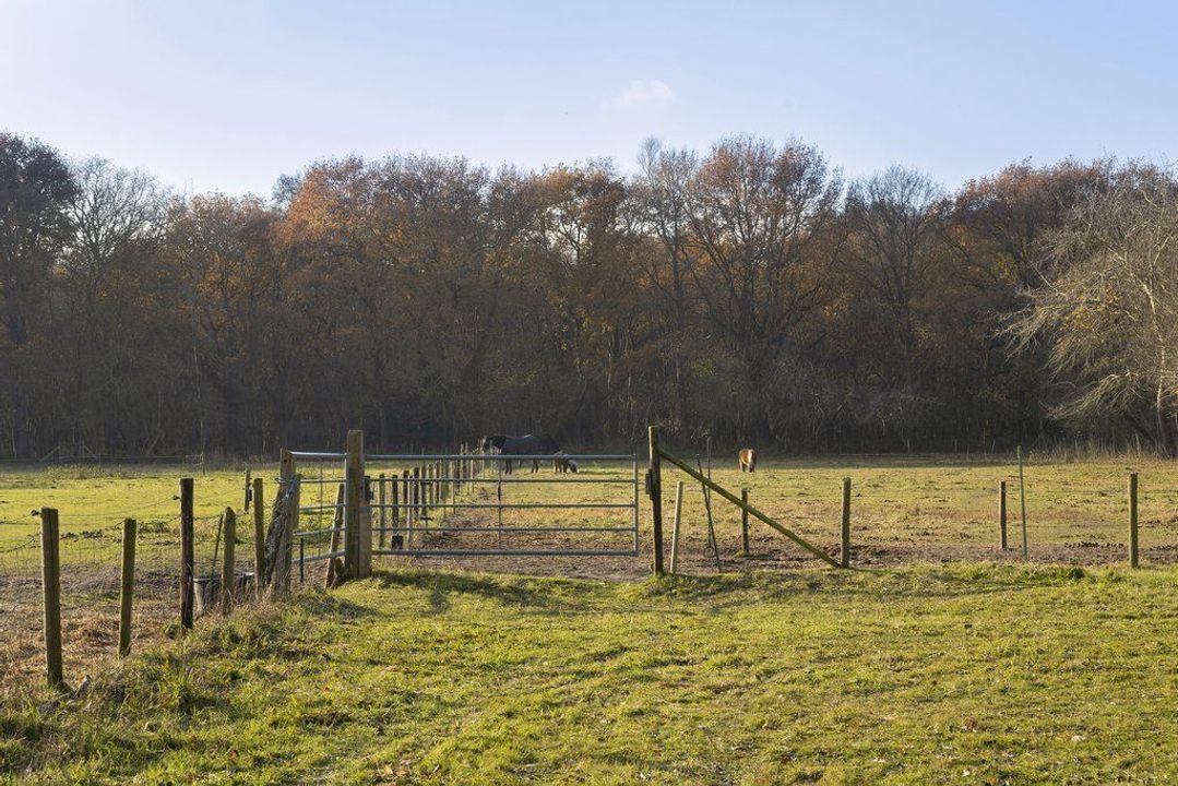 j.j. Boeijesweg 0 ong, Burgh-Haamstede foto-2