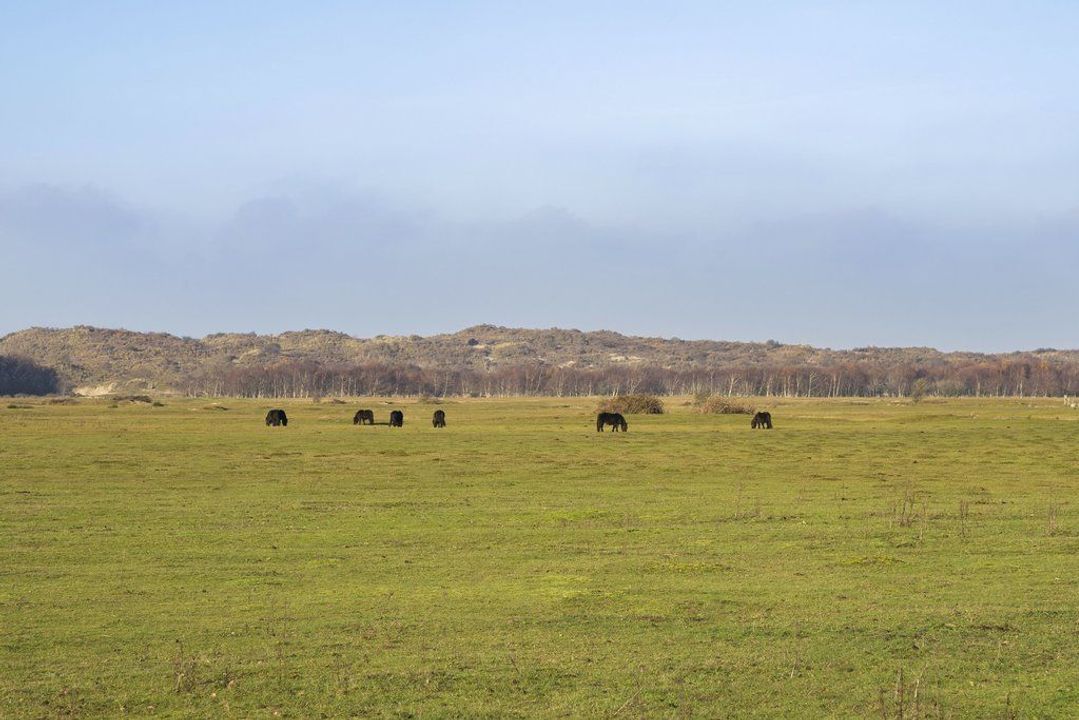 j.j. Boeijesweg 0 ong, Burgh-Haamstede foto-19