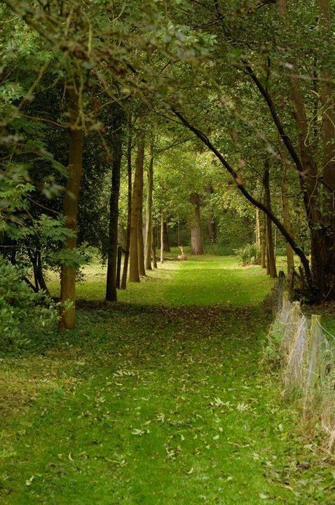 Zwartelaan 1, Oostvoorne foto-14