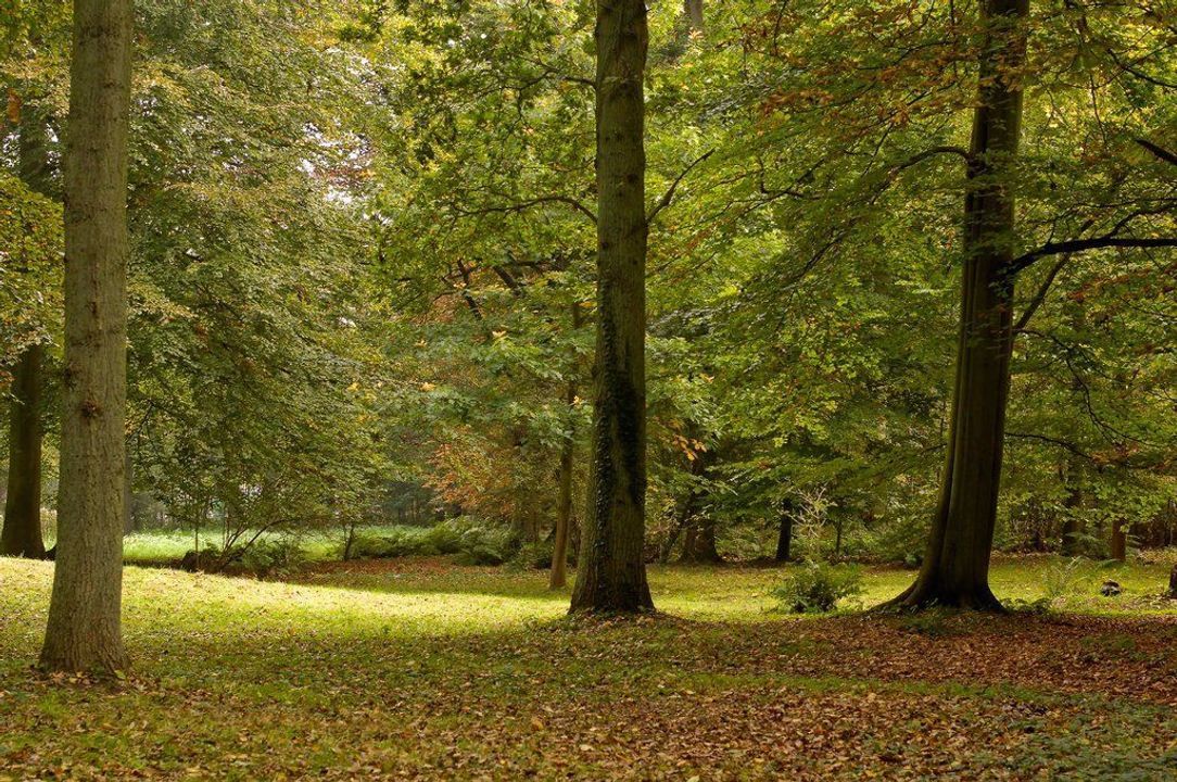 Zwartelaan 1, Oostvoorne foto-15