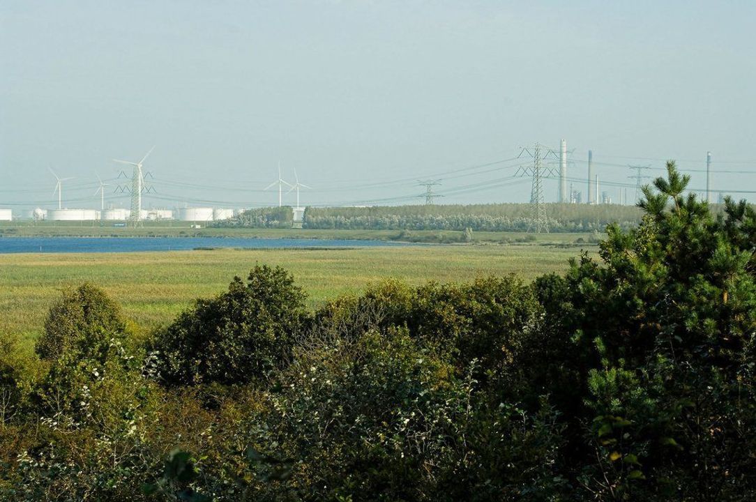 Zwartelaan 1, Oostvoorne foto-22