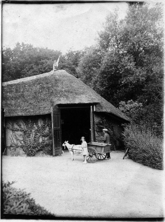 Zwartelaan 1, Oostvoorne foto-57