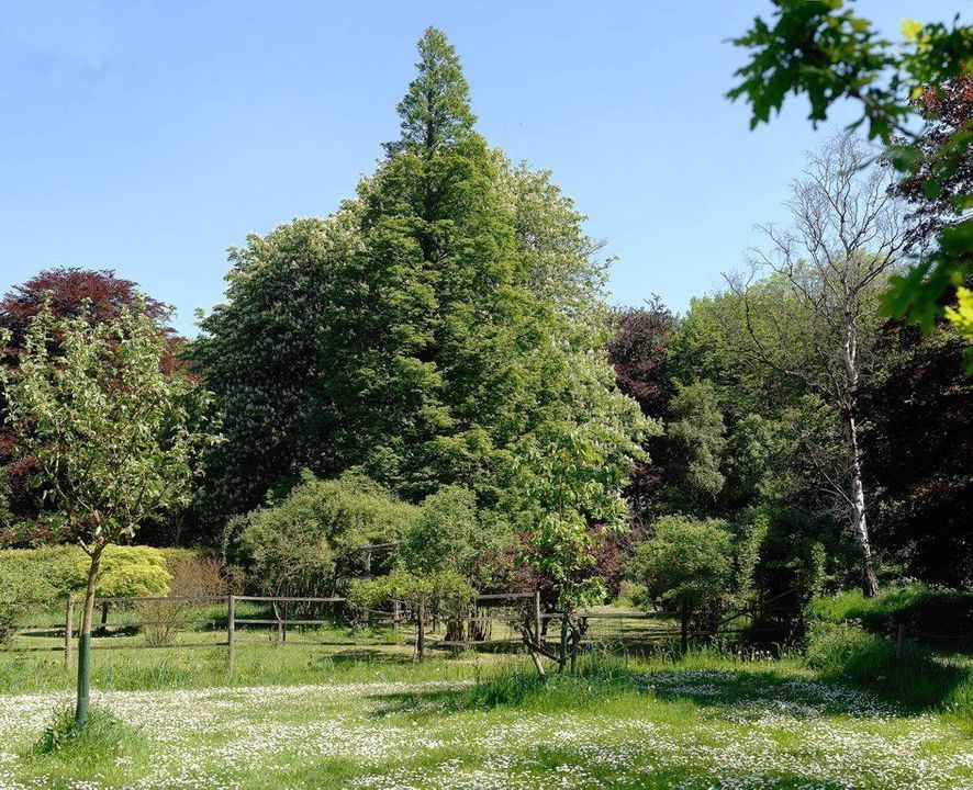 Zwartelaan 1, Oostvoorne foto-63