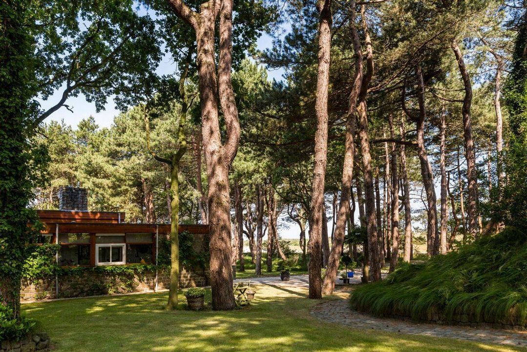 Duinwekken 10 AB, Renesse foto-18