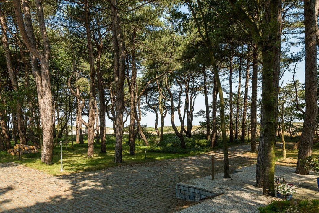 Duinwekken 10 AB, Renesse foto-30