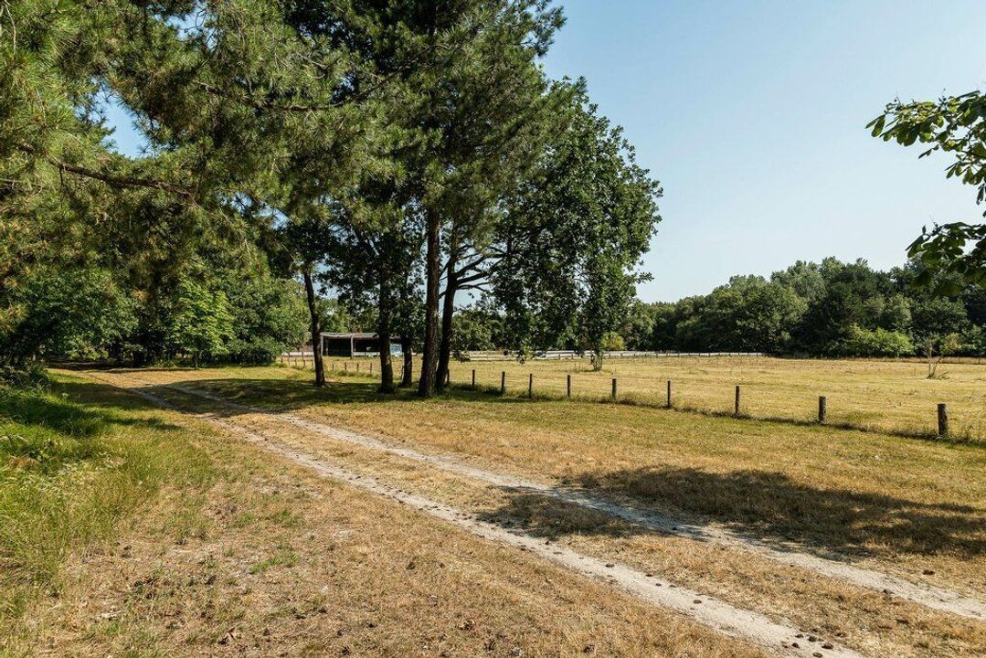 Duinwekken 10 AB, Renesse foto-6
