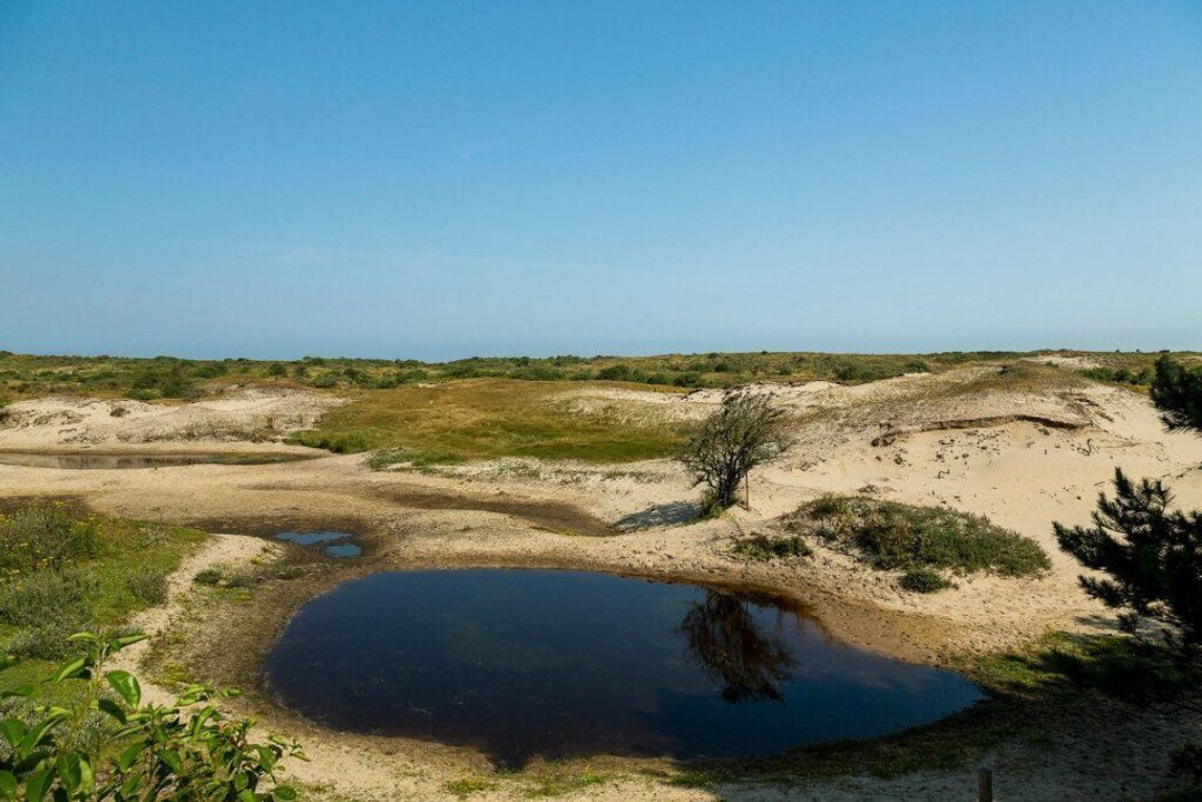 Duinwekken 10 AB, Renesse foto-8