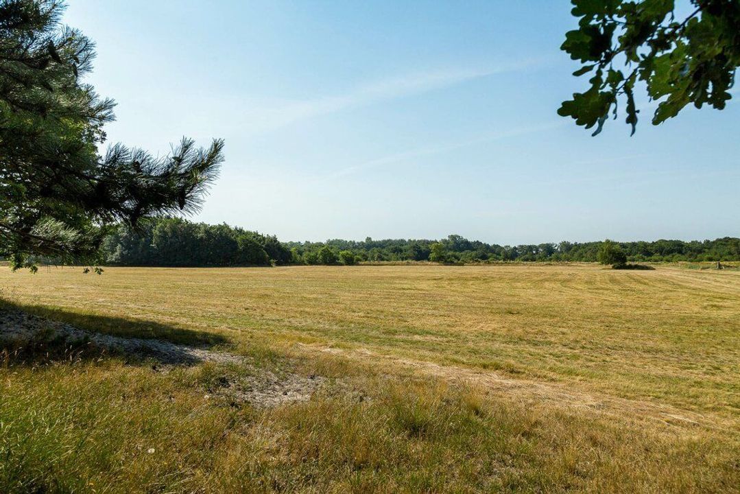 Duinwekken 10 AB, Renesse foto-50