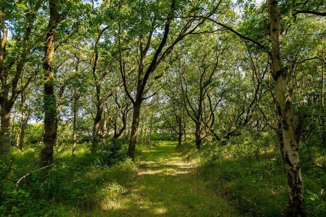 Duinwekken 10 AB, Renesse foto-52