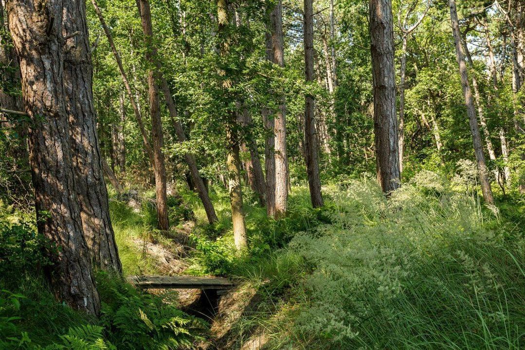 Duinwekken 10 AB, Renesse foto-54