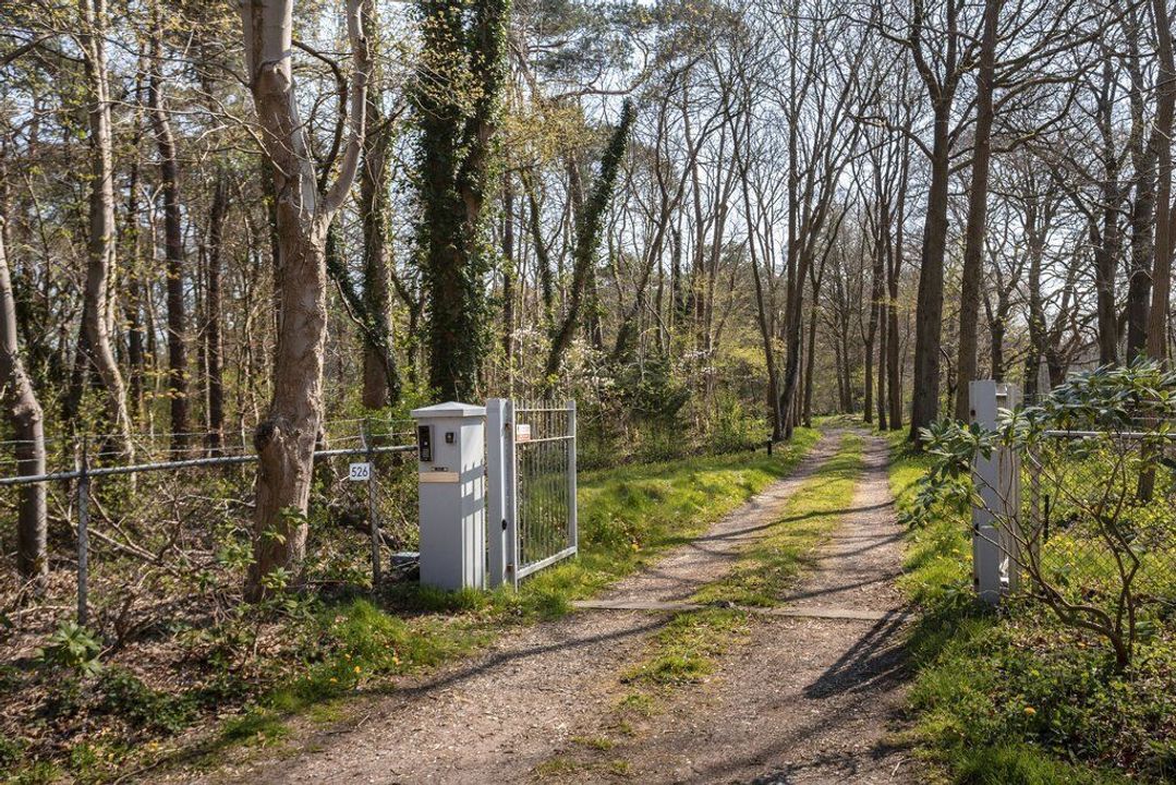 Soestdijkseweg Noord 526, Bilthoven foto-4