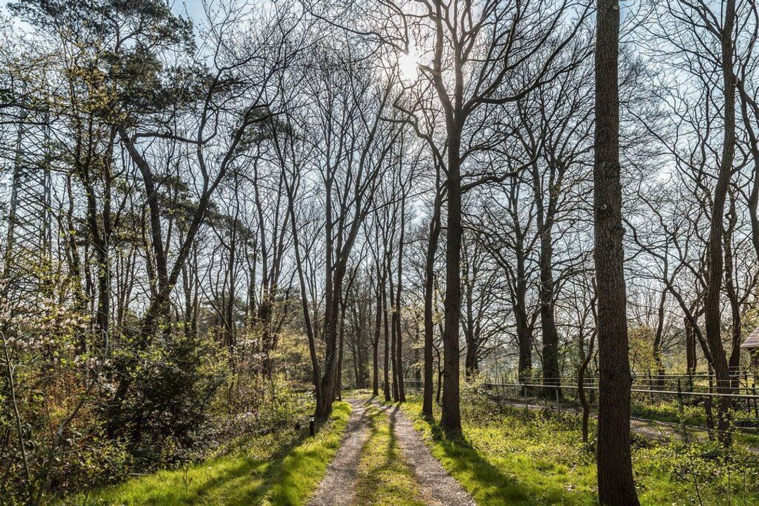 Soestdijkseweg Noord 526, Bilthoven foto-5