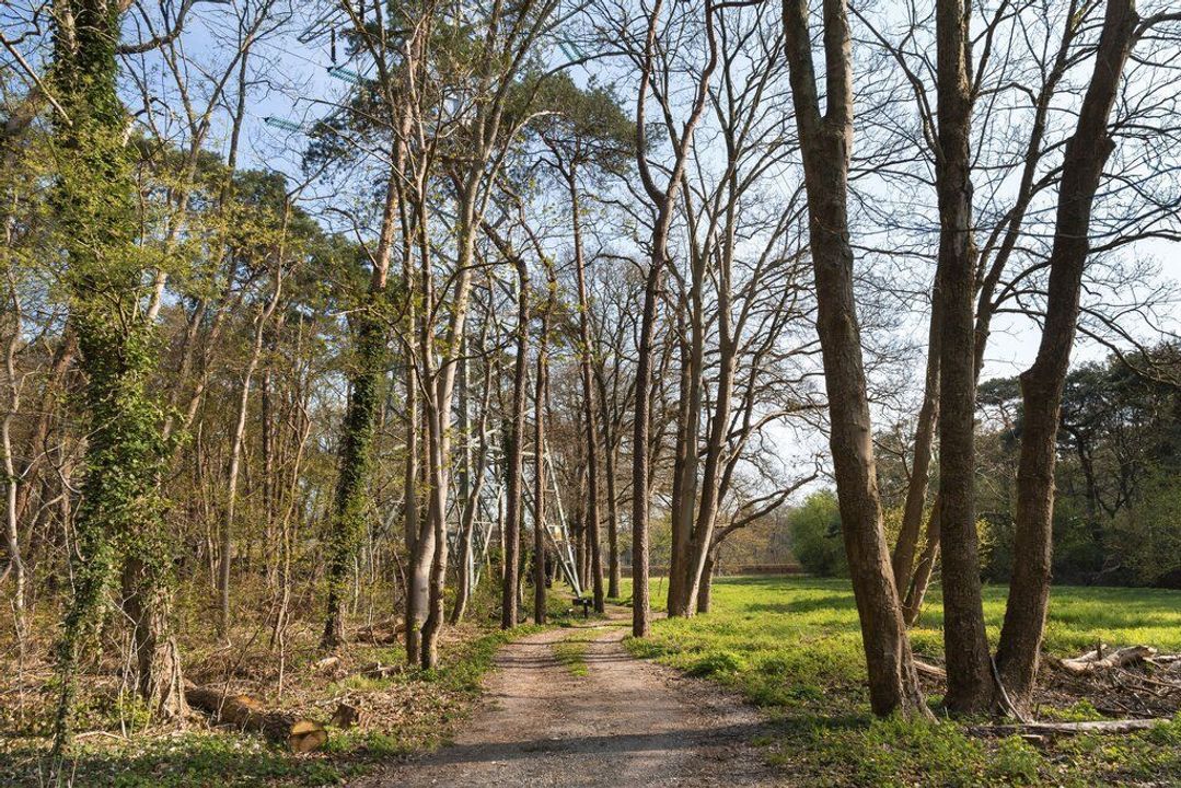 Soestdijkseweg Noord 526, Bilthoven foto-43