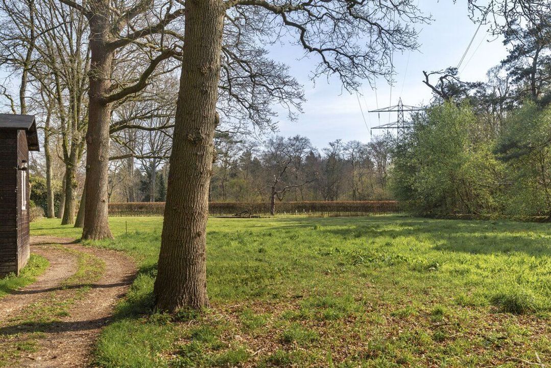 Soestdijkseweg Noord 526, Bilthoven foto-7