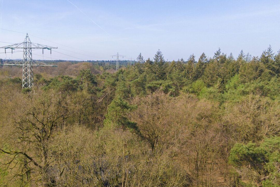 Soestdijkseweg Noord 526, Bilthoven foto-42