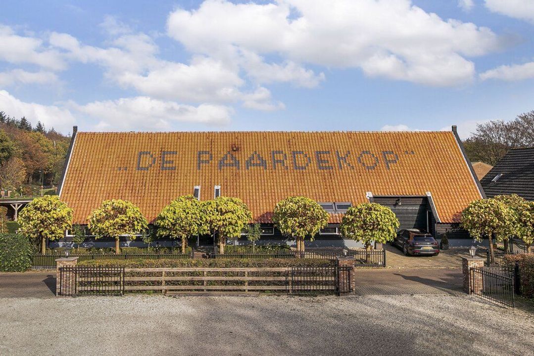 Paardenkop 44, Elst Ut foto-67