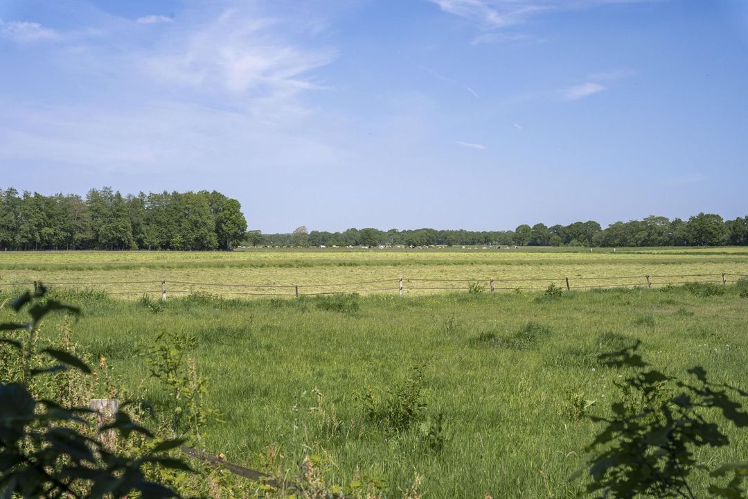 Peizerweg 2, Bunne foto-35