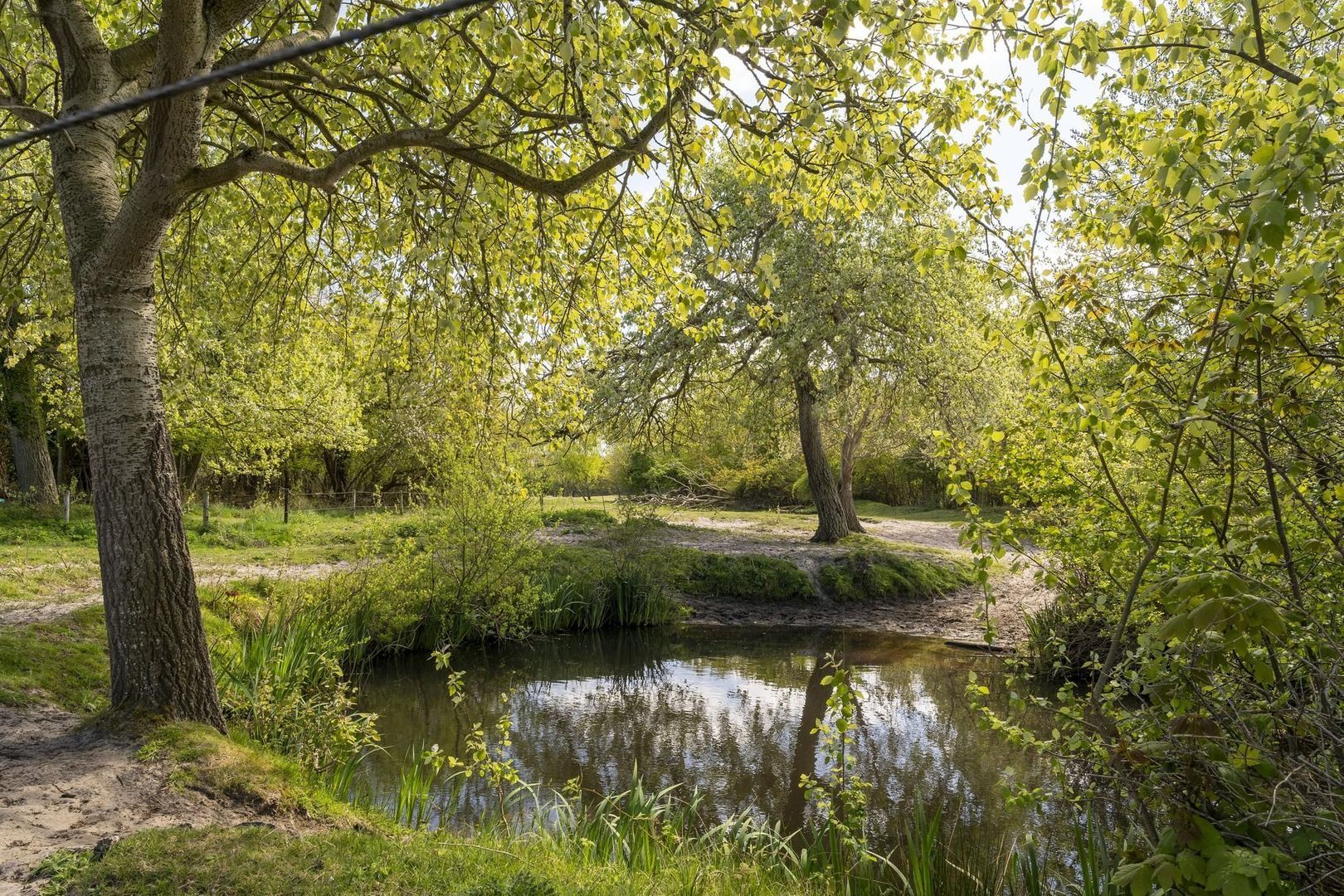 Luieweg 8, Renesse foto-44