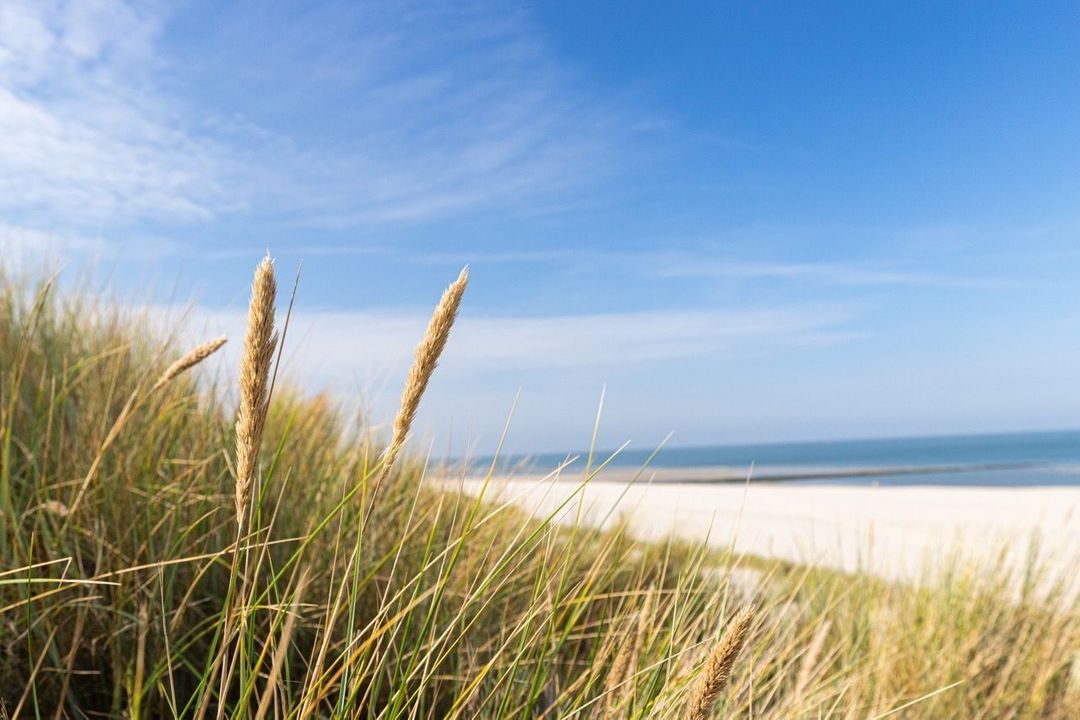 Dennenlaan 16, Vlieland foto-61