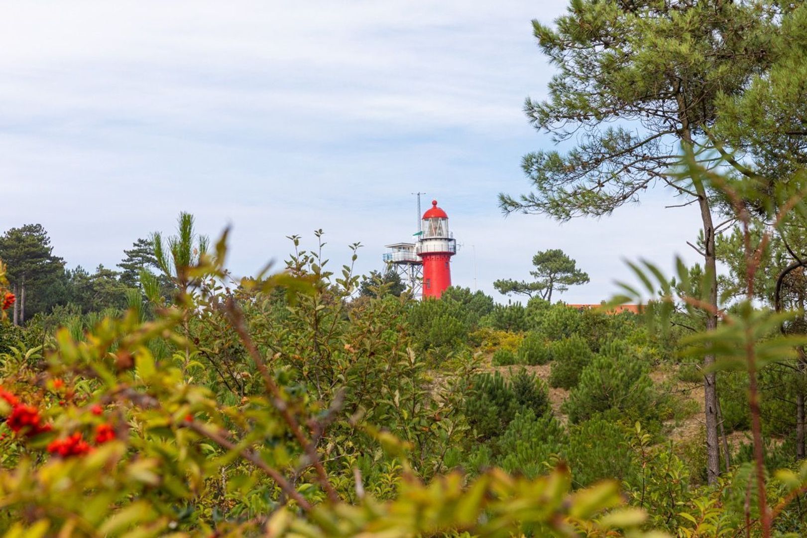 Dennenlaan 16, Vlieland foto-65