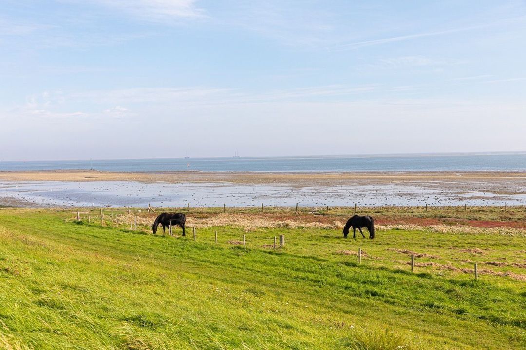 Dennenlaan 16, Vlieland foto-60