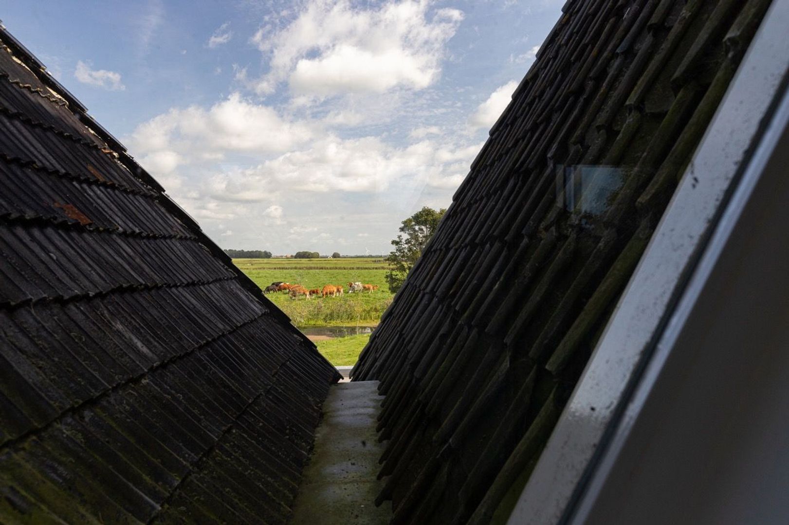 Boerestreek 1, Gaast foto-85