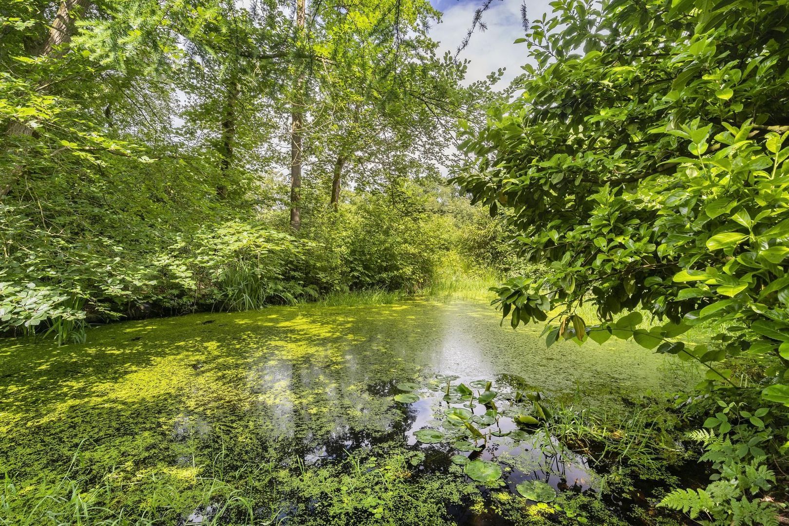 De Lariks 1, Assen foto-72