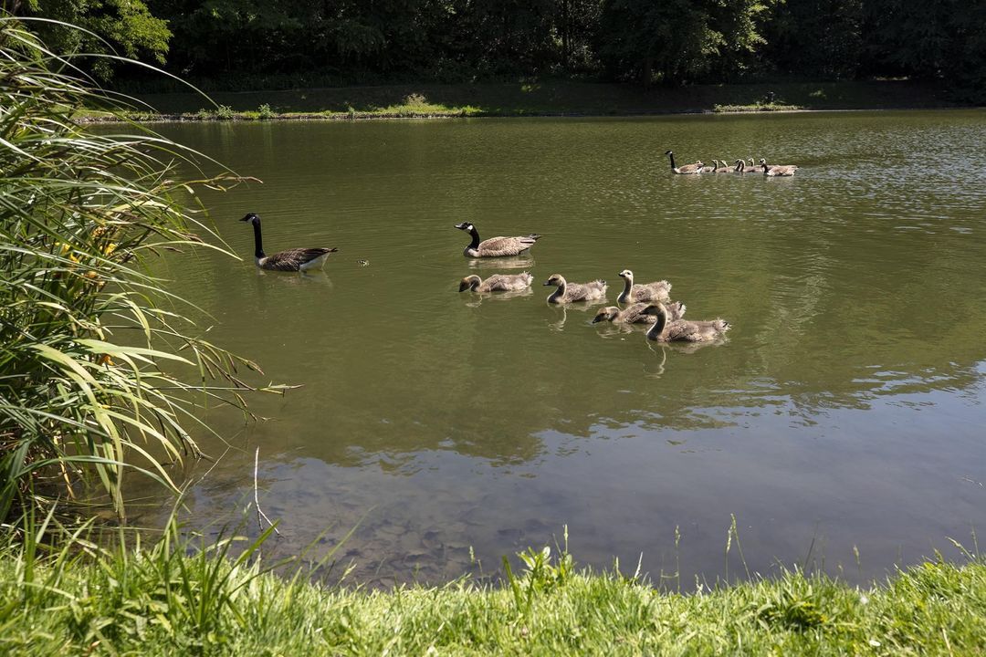 Rouenhof 19, Landgraaf foto-47