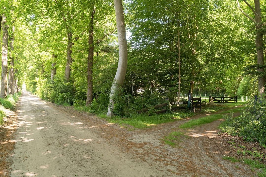 Vredeslaan 1, Frederiksoord foto-4