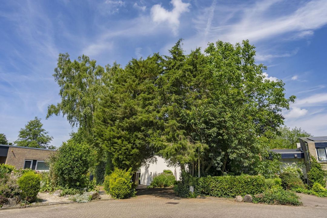 Weezenhof 2704, Nijmegen foto-59