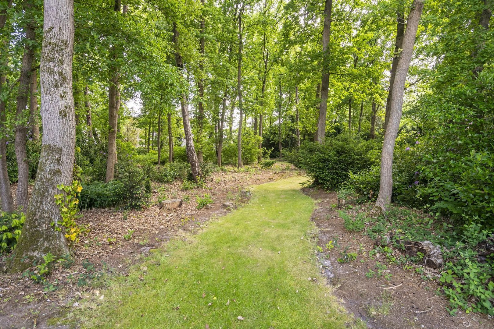 Lange Wijnen 9, Laren foto-58