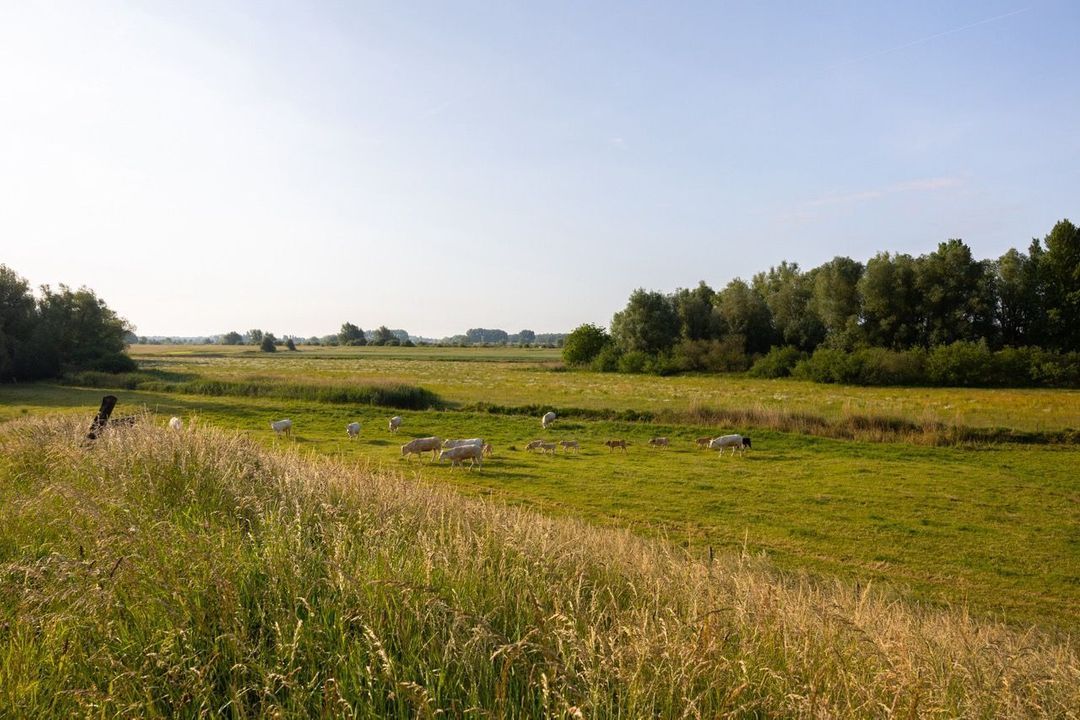 Wijkerweg 31, Langbroek foto-67