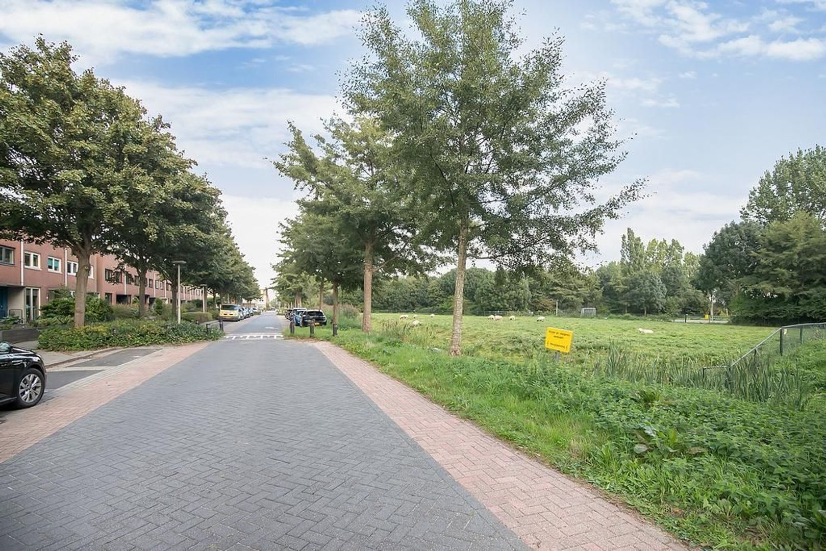 Randmeerstraat 134, Lisse foto-35