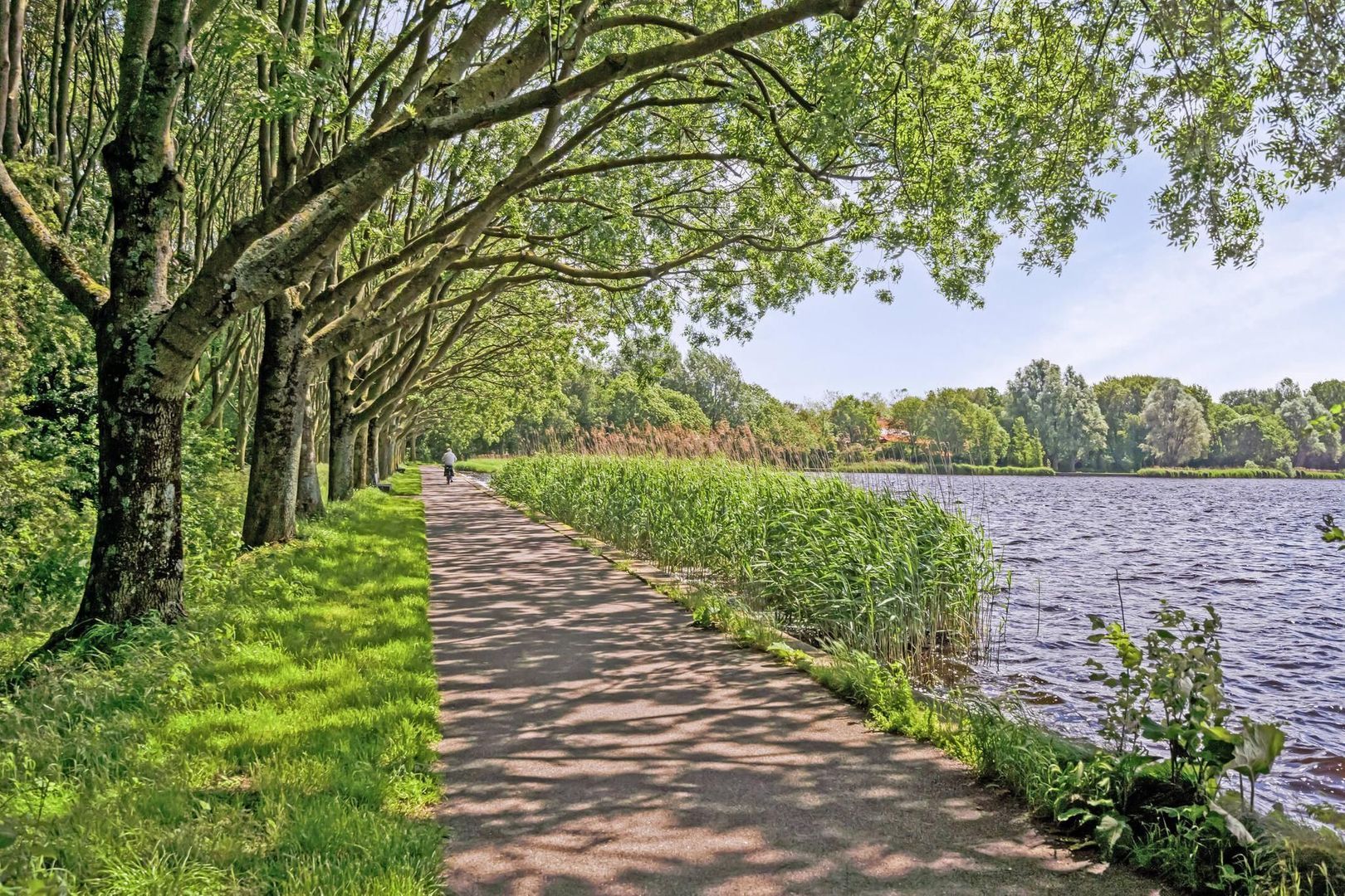 Lupinesingel 350, Alphen Aan Den Rijn foto-27