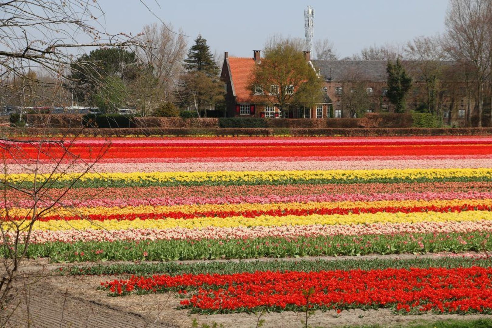 Fresiastraat 2, Lisse foto-34