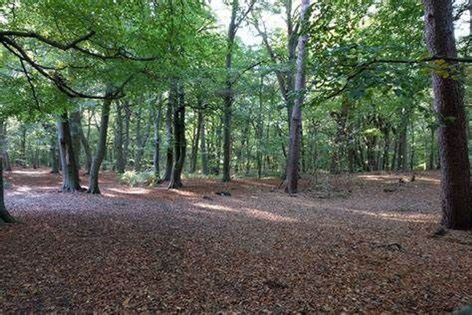 Fresiastraat 2, Lisse foto-37