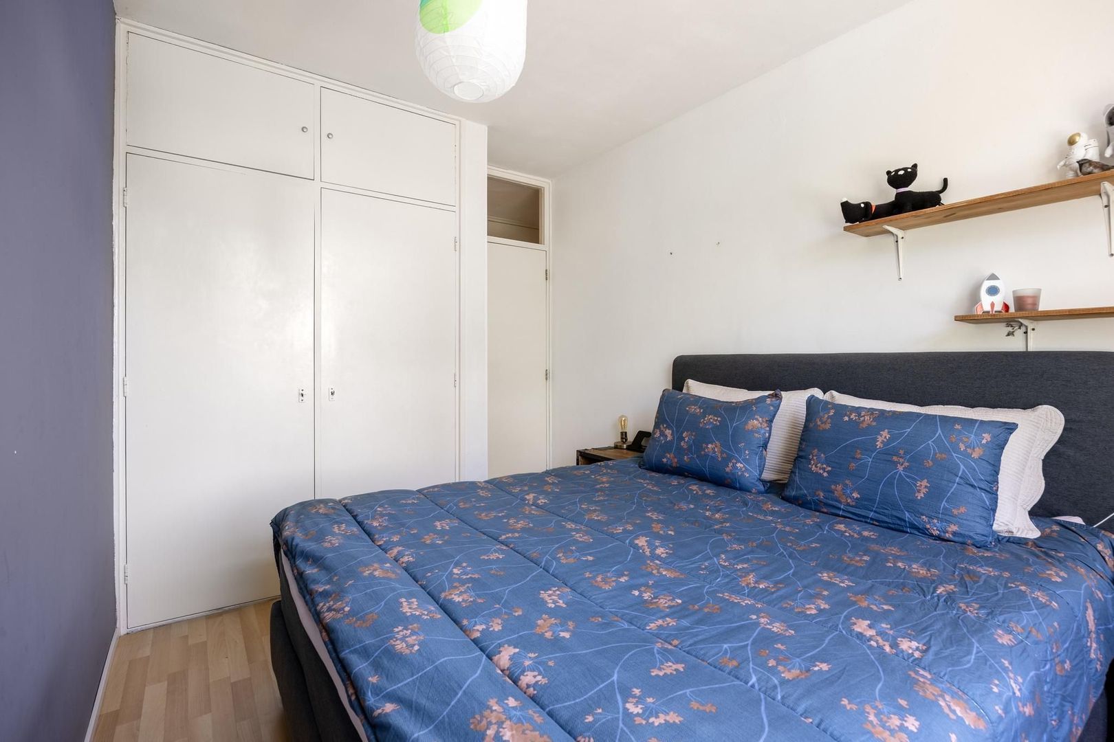 Cesar Franckstraat 8, Leiden foto-21