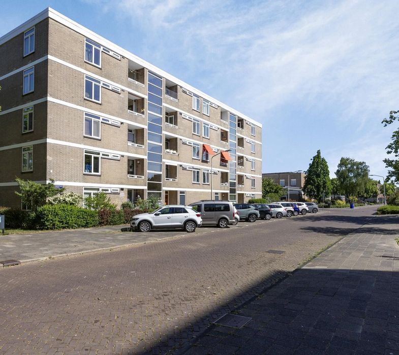 Cesar Franckstraat 8, Leiden