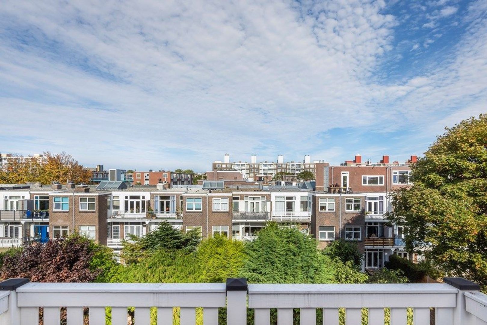 Esdoornstraat 69, Den Haag foto-48