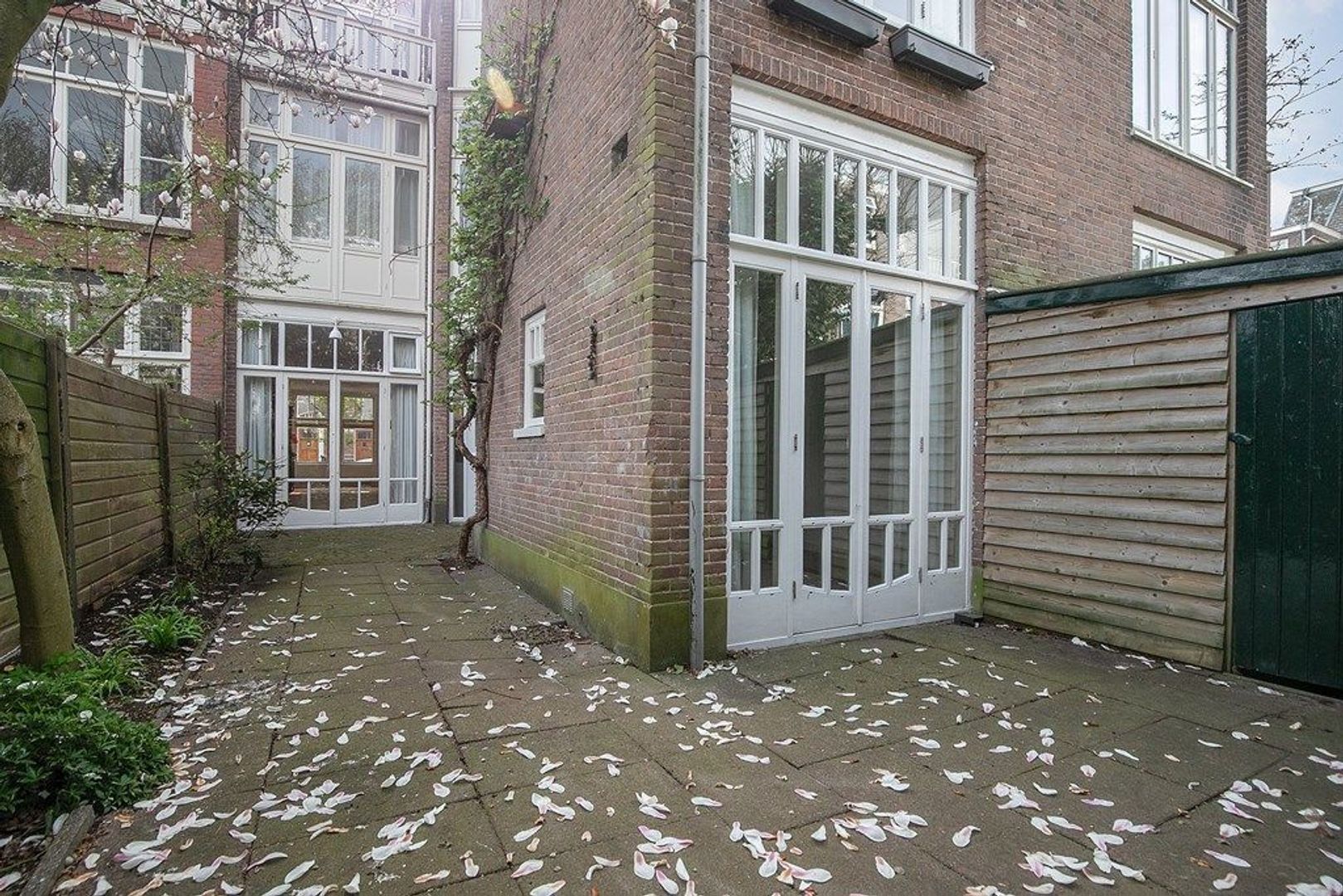 Van Loostraat 65, Den Haag foto-5