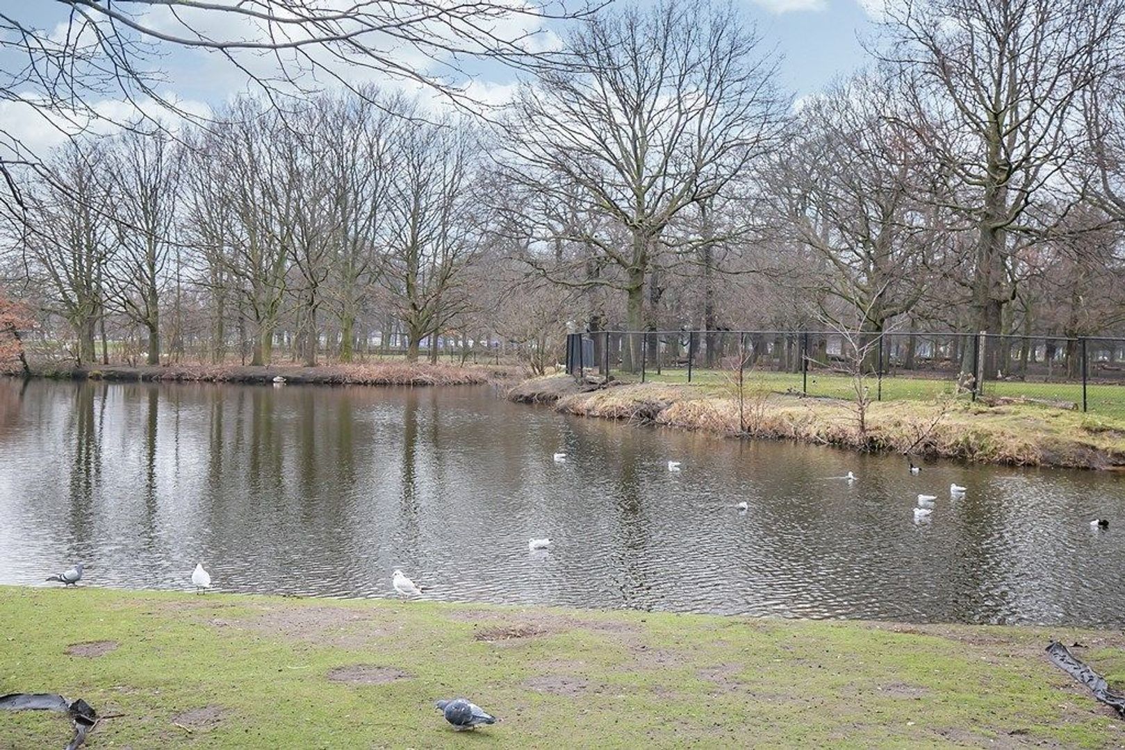 Anna Van Buerenplein 193, Den Haag foto-19