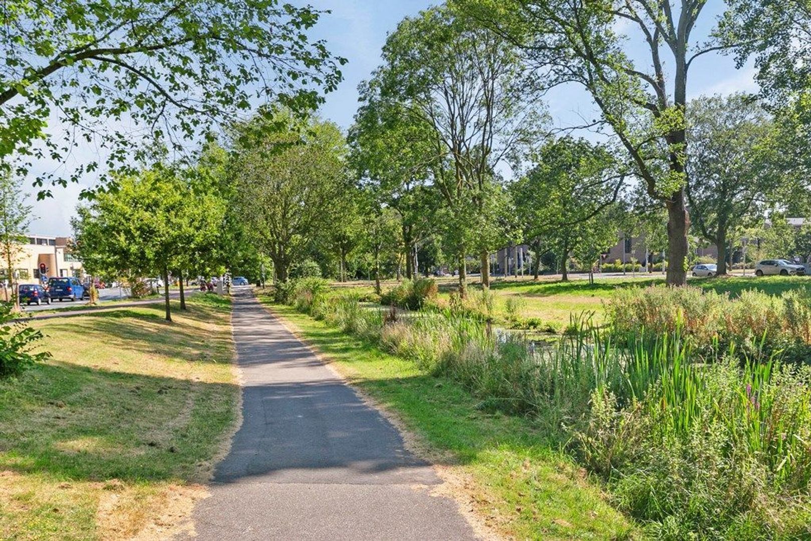 Stadhouderslaan 36, Den Haag foto-24