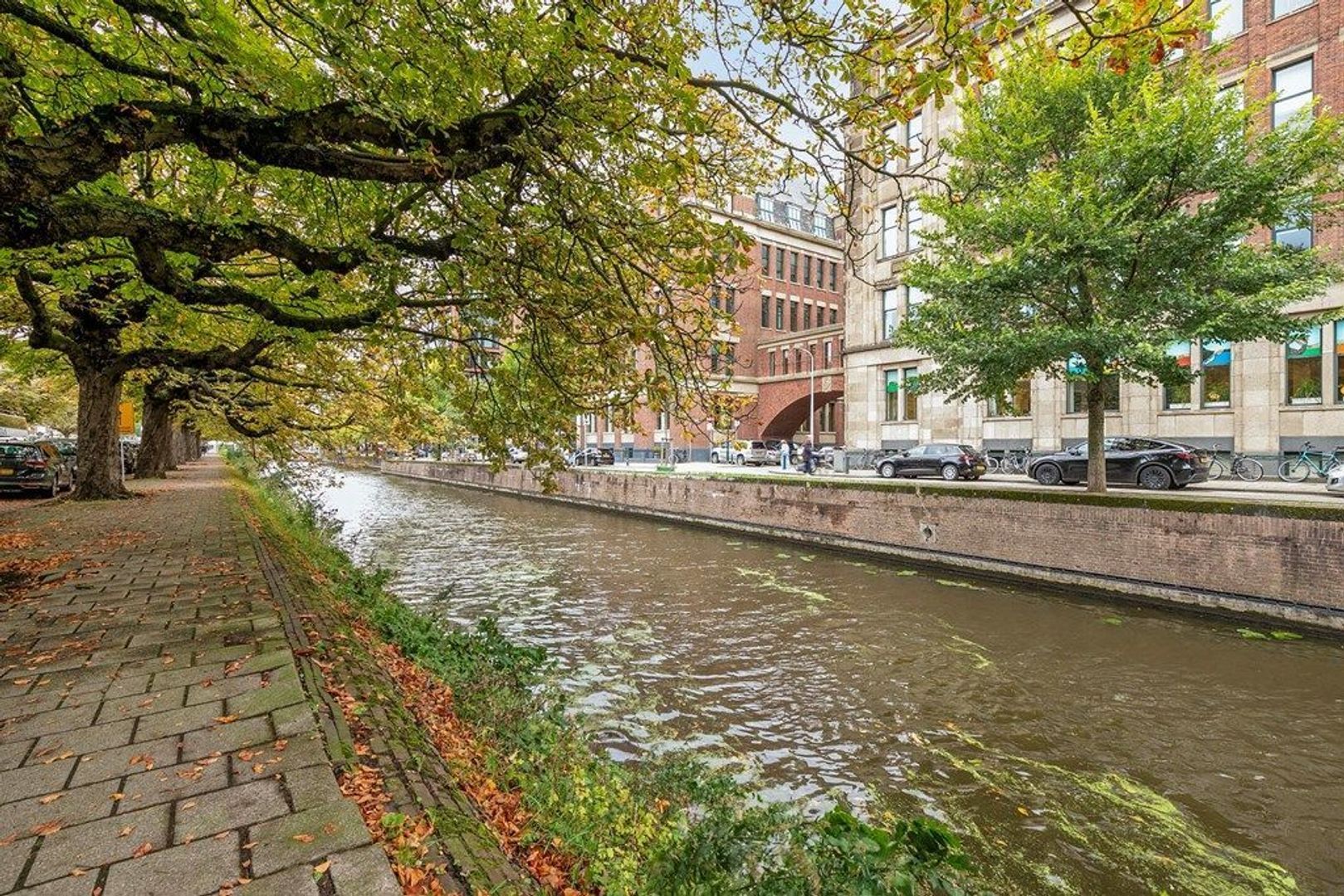 Hogewal 10 A, Den Haag foto-25