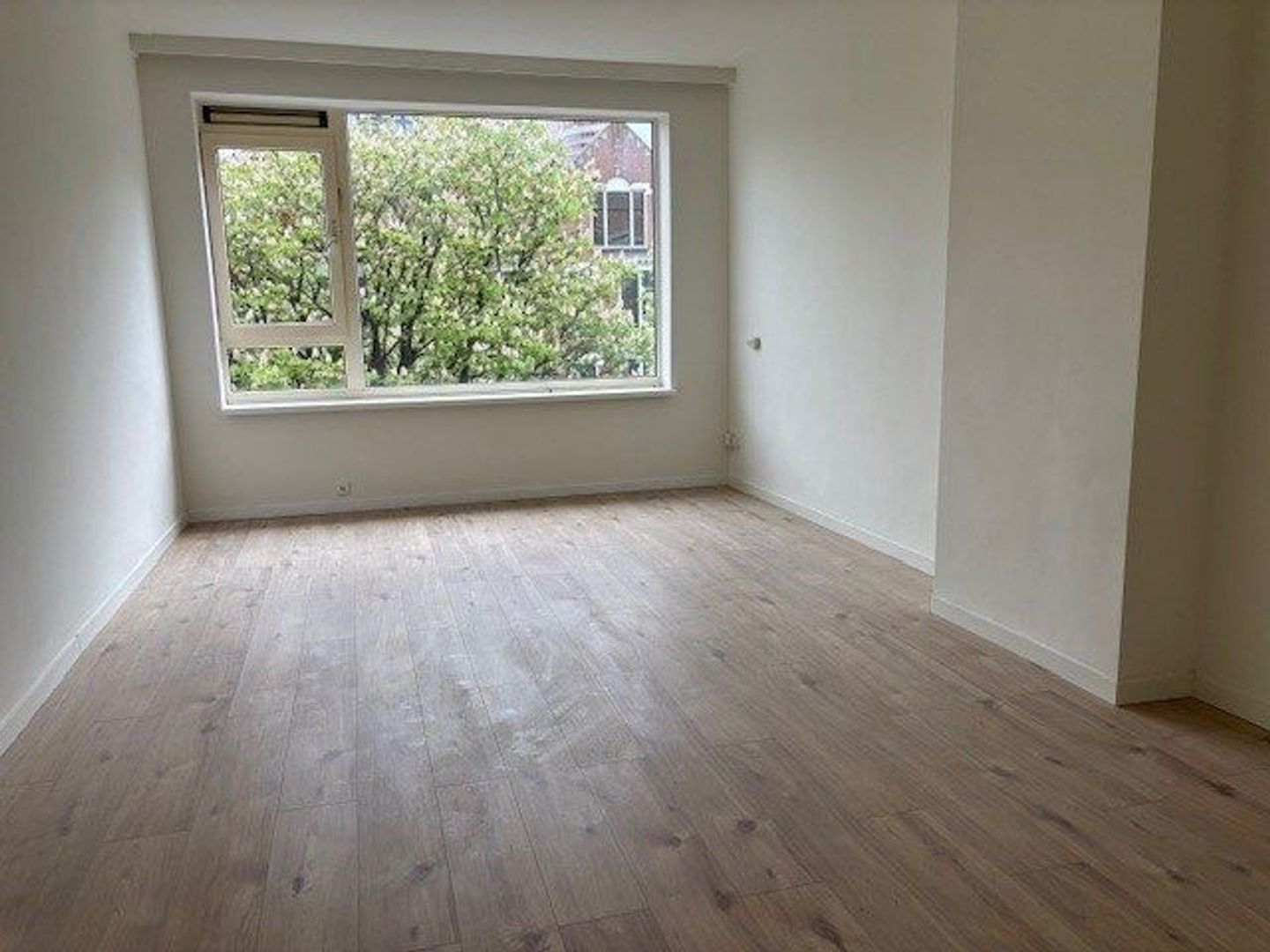 Prins Hendriklaan 31 C, Rotterdam foto-1