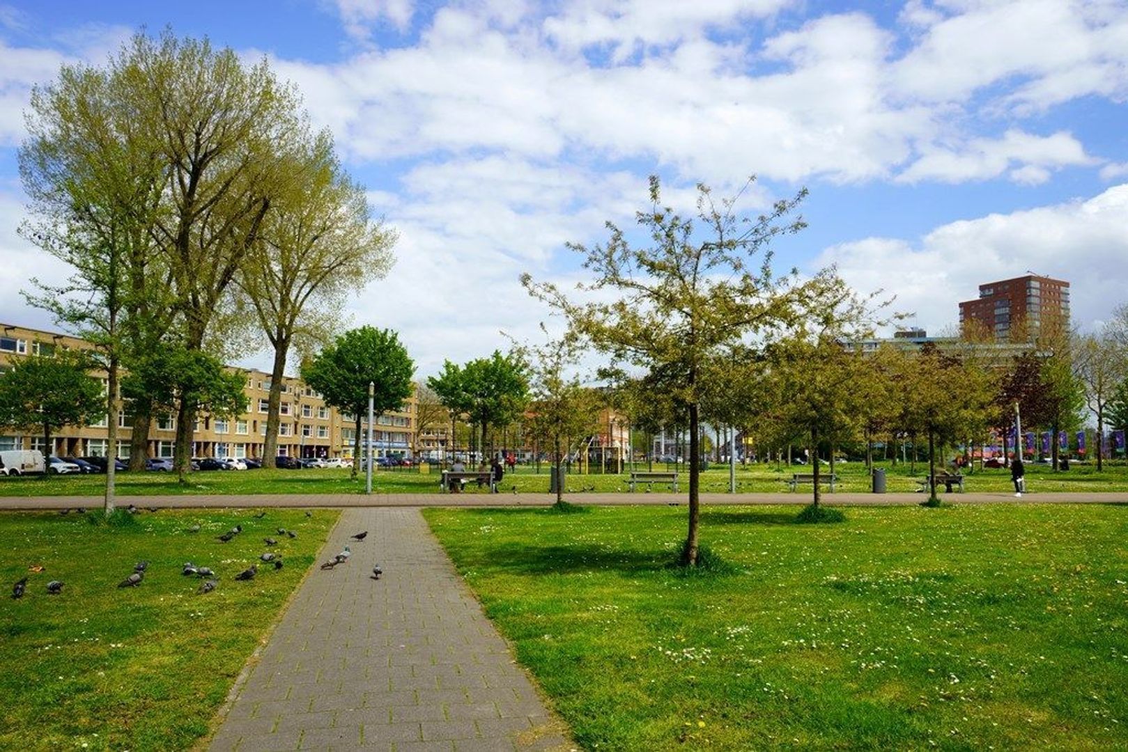Zuidplein 562, Rotterdam foto-17