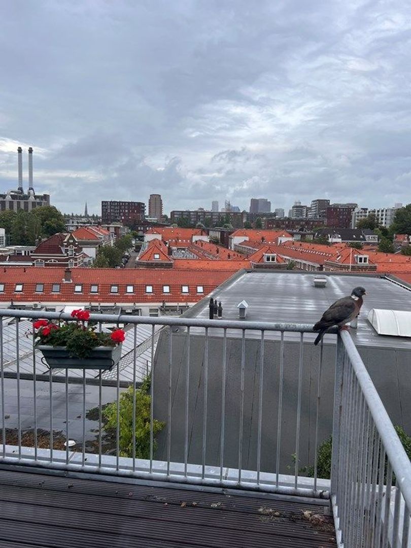 Regentesselaan 298, Den Haag foto-18