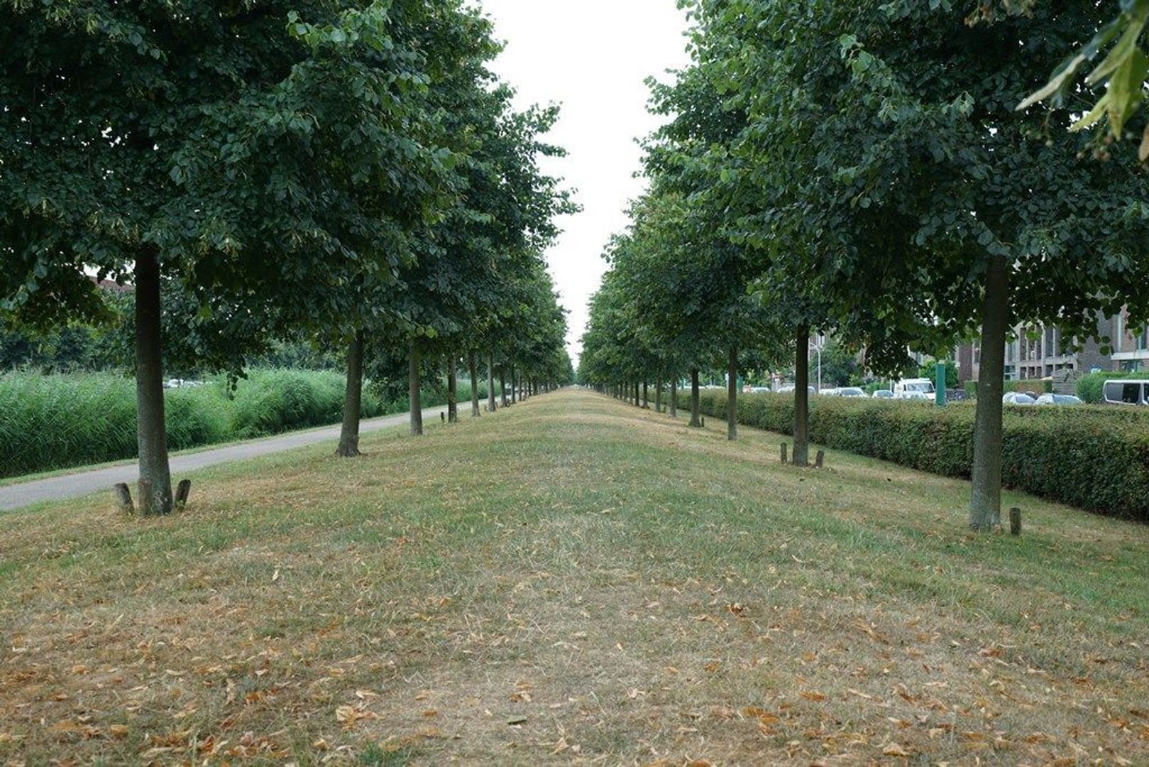 Nootdorpse Landingslaan 154, Den Haag foto-28