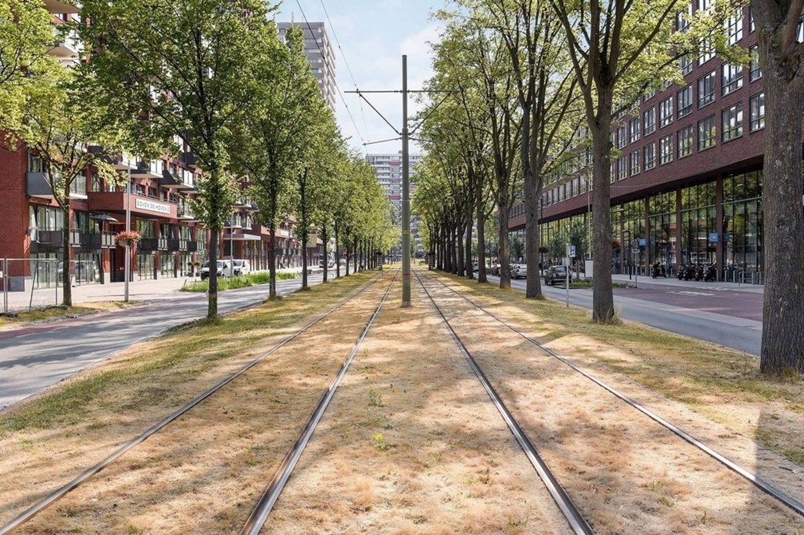 Martinus Nijhofflaan 464, Delft foto-17