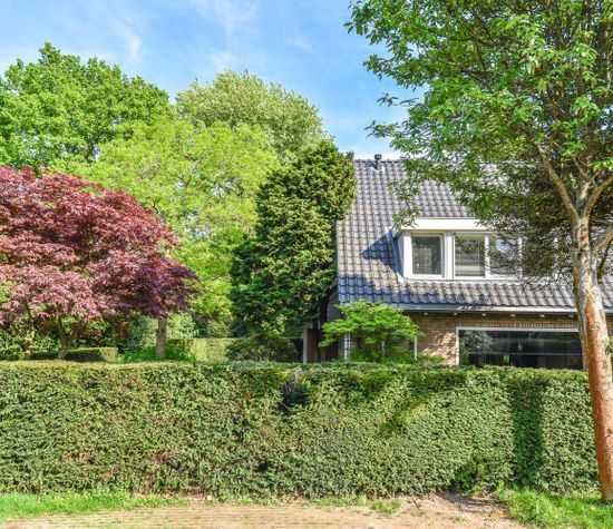 Koloniepad 18, Laren