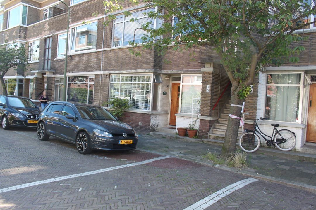 Bosbesstraat, Den Haag
